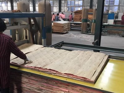 Encolado y agrupamiento