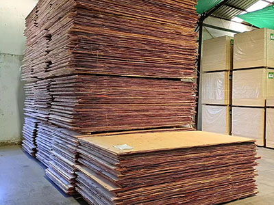 Curado del panel base